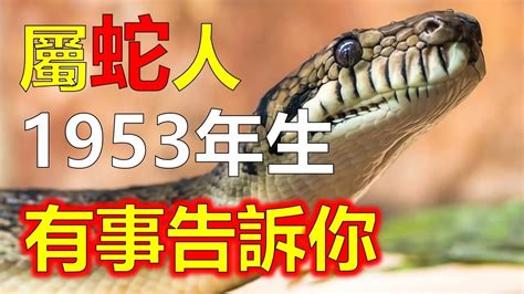 1953年屬蛇|生肖蛇: 性格，愛情，2024運勢，生肖1989，2001，2013